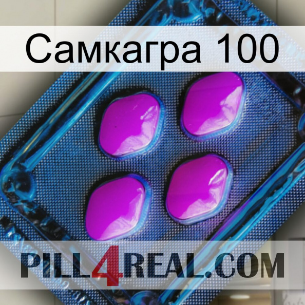 Самкагра 100 04.jpg